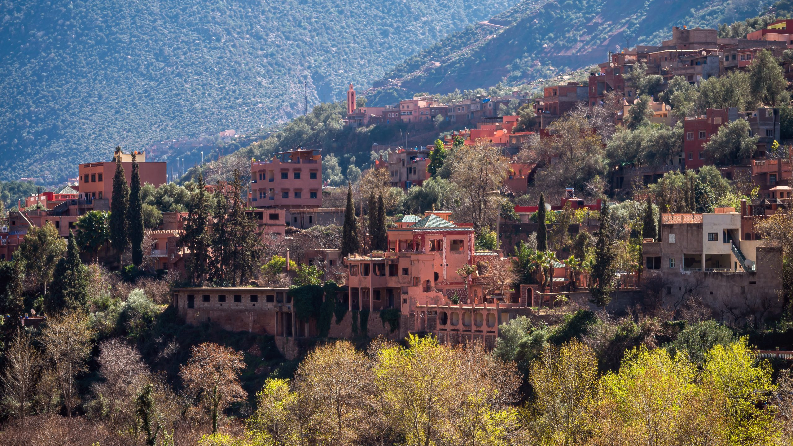 Dar Zohra architecture